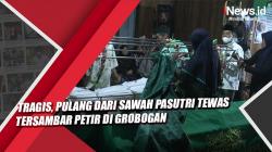 Video  Tragis, Pulang dari Sawah Pasutri Tewas Tersambar Petir di Grobogan