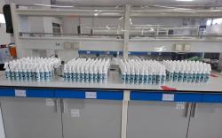 Jangan Dibuang, Ternyata Sampah Dapur Bisa Diubah Jadi Hand Sanitizer