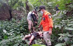 Mayat Tanpa Identitas Ditemukan di Taman Nasional Gunung Halimun Salak, Kondisinya sudah Membusuk