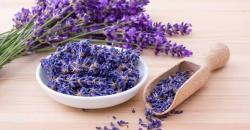 Ketahui Nutrisi Alami untuk Bantu Ibu Hamil dan Menyusui Tetap Glowing