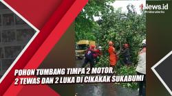 Pohon Tumbang Timpa 2 Motor di Cikakak Sukabumi, 2 Orang Tewas<