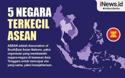 Infografis Negara ASEAN yang Memiliki Wilayah Paling Kecil