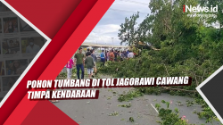 Video Pohon Tumbang di Tol Jagorawi Cawang Timpa Kendaraan