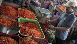 Cuaca Buruk, Harga Cabai Naik Drastis