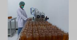 Meraup Berkah Madu Organik di Masa Pandemi