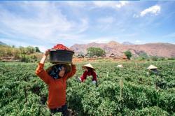 Wujudkan Champion of Financial Inclusion, BRI Terapkan Prinsip ESG dalam Pembiayaan UMKM