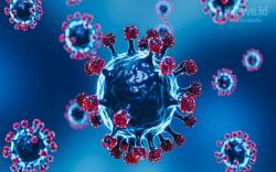 Angka Kesembuhan Dominasi Kasus Covid-19 di Kaltim Selama 3 Hari Terakhir