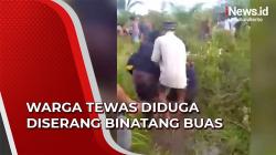Pamit Berkebun, Warga Tewas Diduga Diserang Binatang Buas di Kotawaringin Timur
