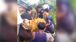 Nenek Tewas Diduga Diserang Binatang Buas, Kondisinya Mengenaskan