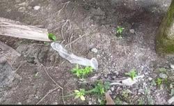Viral Kondom Bekas Pakai Berserakan di GOR Lompoe, Diduga Jadi Lokasi Pesta Seks<