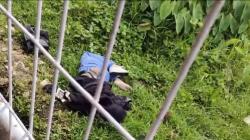 Mayat Wanita Bertato di Arcamanik Bandung, Kasatreskrim: Korban Diduga Dibuang<