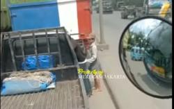 Viral, Sopir Pikap Dipalak 2 Bocah Bersajam di Kawasan Kalibaru Cilincing