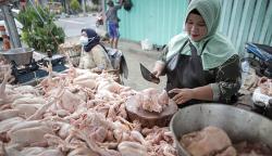Jaga Inflasi, Bapanas Jual Daging Ayam Ras Murah di 115 Titik Jabodetabek