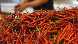 Cabai Merah Penyumbang Utama Inflasi Bulan Maret 2022