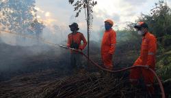 BMKG : Titik Api di Kalbar Berkurang usai Diguyur Hujan selama Dua Hari