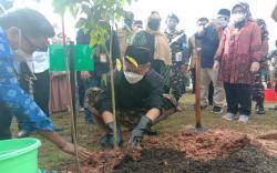 Sambut Harlah Ke-99, Nahdlatul Ulama Tanam 5.000 Pohon di Palembang<