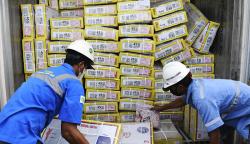 Penampakan 20.000 Ton Daging Kerbau Impor dari India Tiba di Jakarta