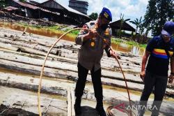 Polda Riau Tangkap 2 Pengangkut Kayu Ilegal di Rokan Hulu Diupah Rp1 Juta<