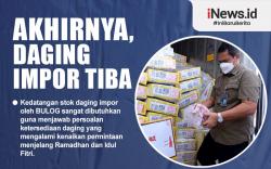 Infografis Akhirnya, Daging Impor Tiba