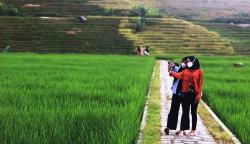 Melepas Penat dengan Menikmati Suasana Alam Ciboer Pass Majalengka