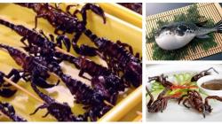  7 Makanan Paling Ekstrem di Dunia, Merinding Ada Tarantula Goreng hingga Sup Kelelawar