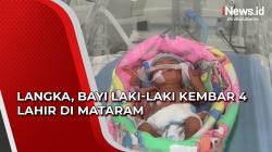 Video Langka, Bayi Laki-Laki Kembar 4 Lahir di Mataram