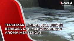 Video Tercemar Limbah, Kali Bekasi Berbusa dan Mengeluarkan Aroma Menyengat