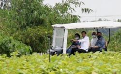 Jokowi Sopiri Megawati saat Tinjau Persemaian Modern di Bogor