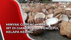 Video Minyak Goreng Mahal, IRT di Gianyar Jadi Pengepul Kelapa Kering