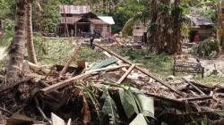 178 Hewan Ternak Mati akibat Banjir Bandang Banggai, dari Sapi, Babi hingga Ayam