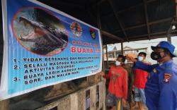 Warga Diminta Hati-Hati, Buaya Ganas Berkeliaran di DAS Sebangau