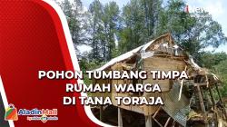 Pohon Tumbang Timpa Rumah Warga di Tana Toraja