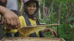 Numpang Promo di Lapak Ganjar, Madu Lokal di Borobudur Ini Tembus Pasar Dunia<