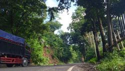 Waspada! Longsor Susulan Ancam Jalur Bandung-Garut<