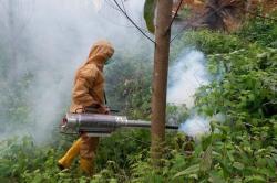 Fogging hingga Radius 1 Km, Kawasan Kemah Jokowi Dipastikan Steril dari Malaria
