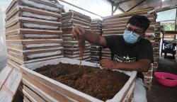 Pemuda Klaten Raup Cuan dari Budi Daya Cacing Tanah