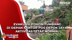 Evakuasi Pohon Tumbang di Depan Kantor Pos Depok Jaya, Aktivitas Tetap Normal