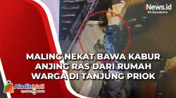 Video Maling Nekat Bawa Kabur Anjing Ras dari Rumah Warga di Tanjung Priok 