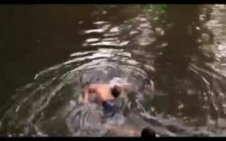 Mandi di Air Terjun Cuhup Mangkok Pagaralam, Wisatawan Asal PALI Tewas Tenggelam <