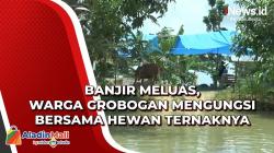 Banjir Meluas, Warga Grobogan Mengungsi Bersama Hewan Ternaknya