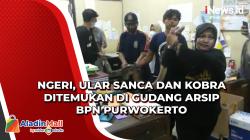 Ngeri, Ular Sanca dan Kobra Ditemukan di Gudang Arsip BPN Purwokerto