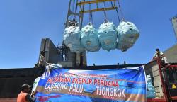 Berkualitas, 3.000 Ton Buah Kelapa Asal Sulawesi Tengah Diekspor ke China<