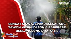 Sengat Siswa, Evakuasi Sarang Tawon Vespa di SDN 4 Parepare Berlangsung Dramatis