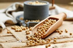 Bagaimana Cara Mengolah Hasil Panen? Ini Jawabannya