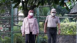 Akhir Pekan, Wapres Ma'ruf Amin Pilih Olahraga di TMII<