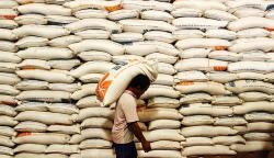 Kantongi 3,5 Juta Ton Izin Impor, Bulog Baru Realisasi 2 Juta Ton