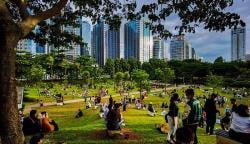 Pemprov DKI Kejar Target 30 Persen Ruang Terbuka Hijau di 2045
