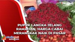 Video Pupuk Langka Jelang Ramadan, Harga Cabai Merangkak Naik di Pasar Balige