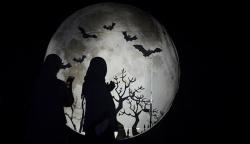 Festival Lampu Menghibur Warga Kabupaten Gowa