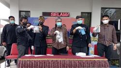 BNNK Banyumas Ungkap Jaringan Pengedar Tembakau Sintetis, 2 Orang Jadi Tersangka 